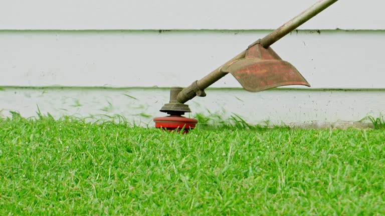 Best Weed Control  in Goodwater, AL